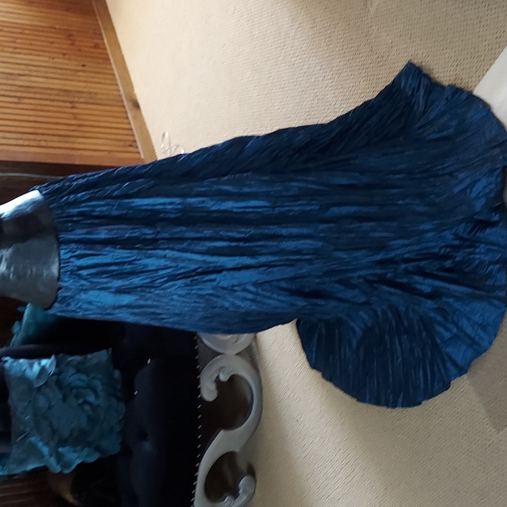 Beautiful Pleated Maxi Skirt - Picture 6 of 10